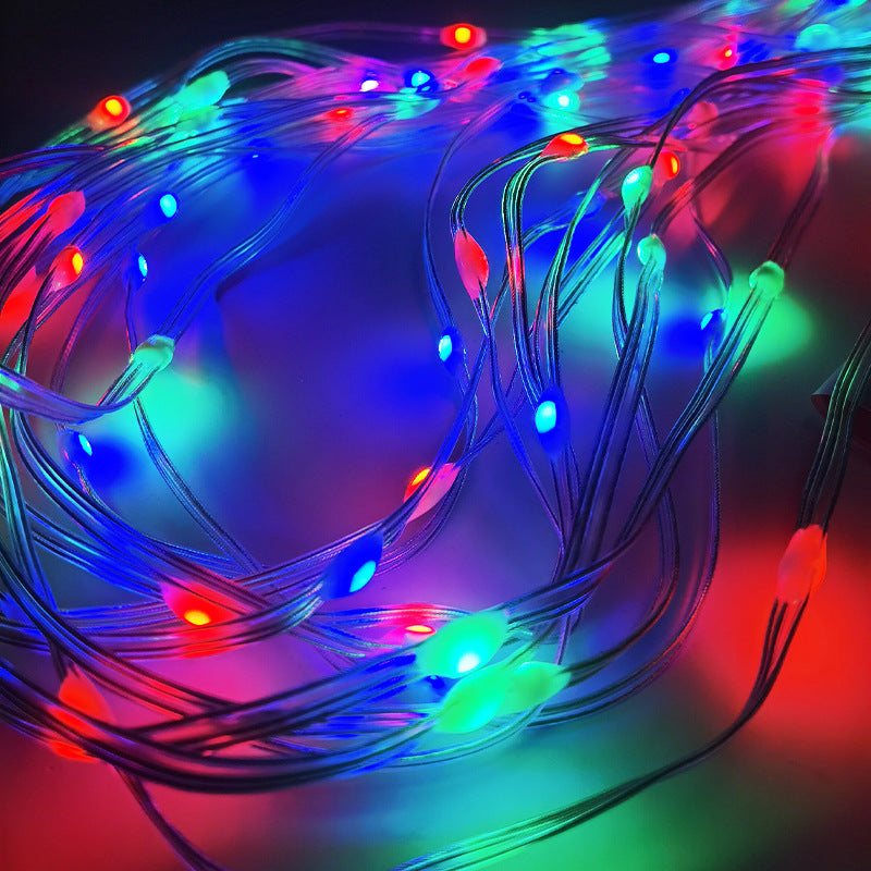RGBIC LED Leather String Lights