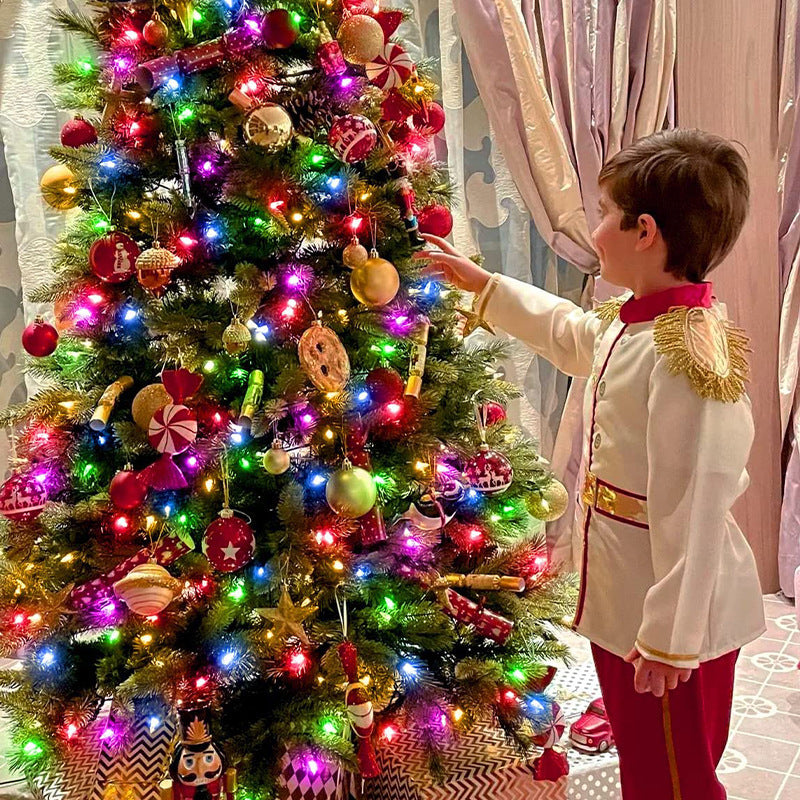 RGBIC LED Leather String Lights